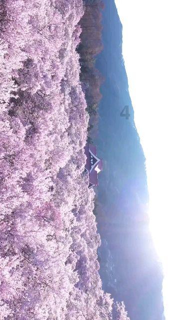 交出无愧于党和人民的江河安澜答卷——2023年水旱灾害防御工作综述