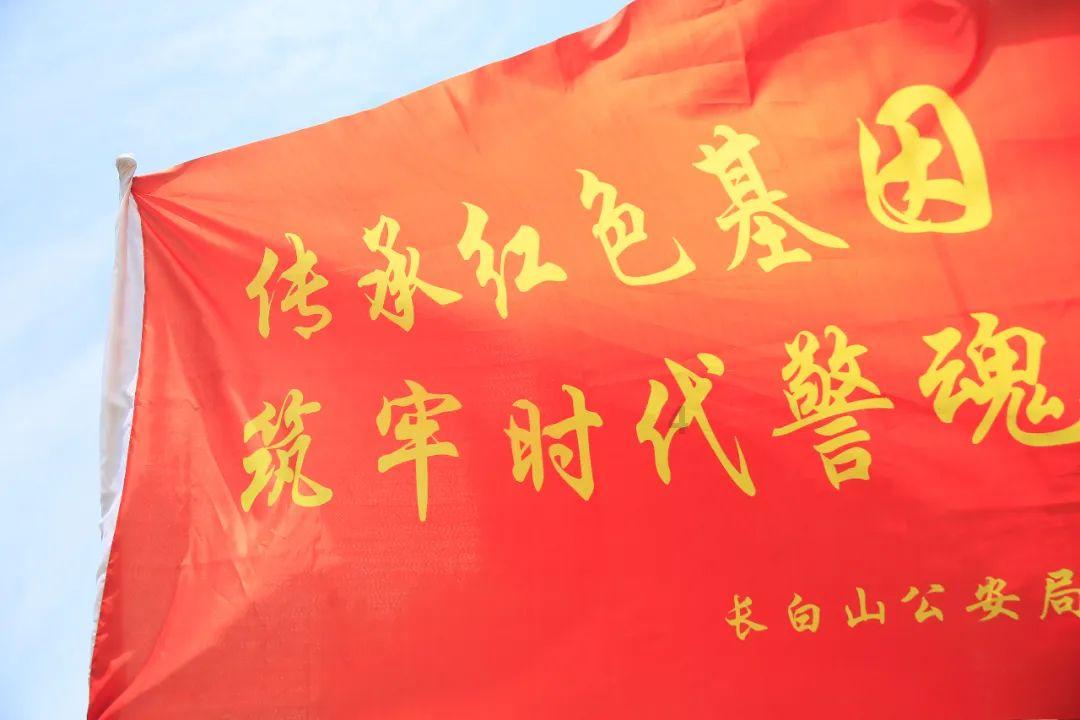 昆明动物园决定采用诱捕方式,将猫移出猴山