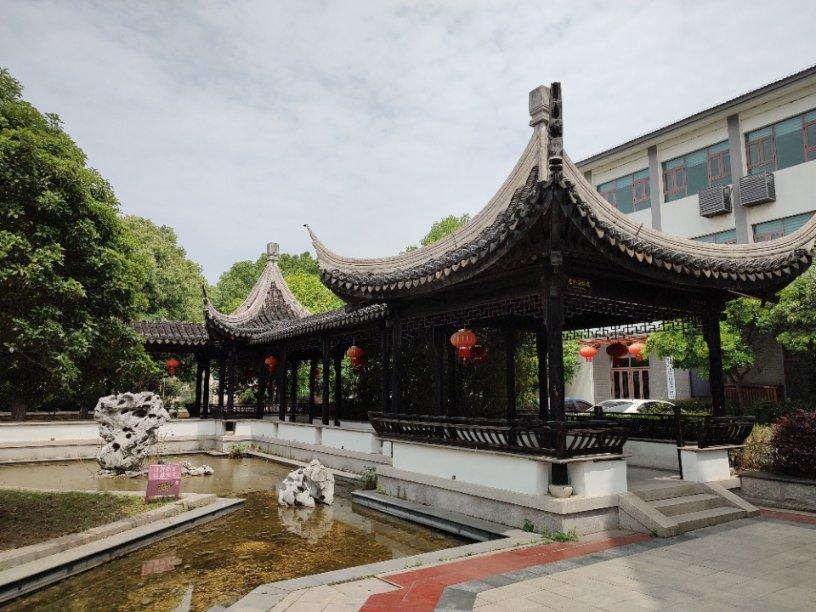 《大江大河3》杨巡表白任遐迩被拒,雷正明又给雷东宝出馊主意