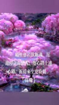 88影视